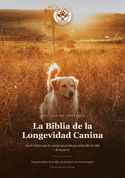 La Biblia de la Longevidad Canina — Los hábitos probados que extienden la vida de tu perro.